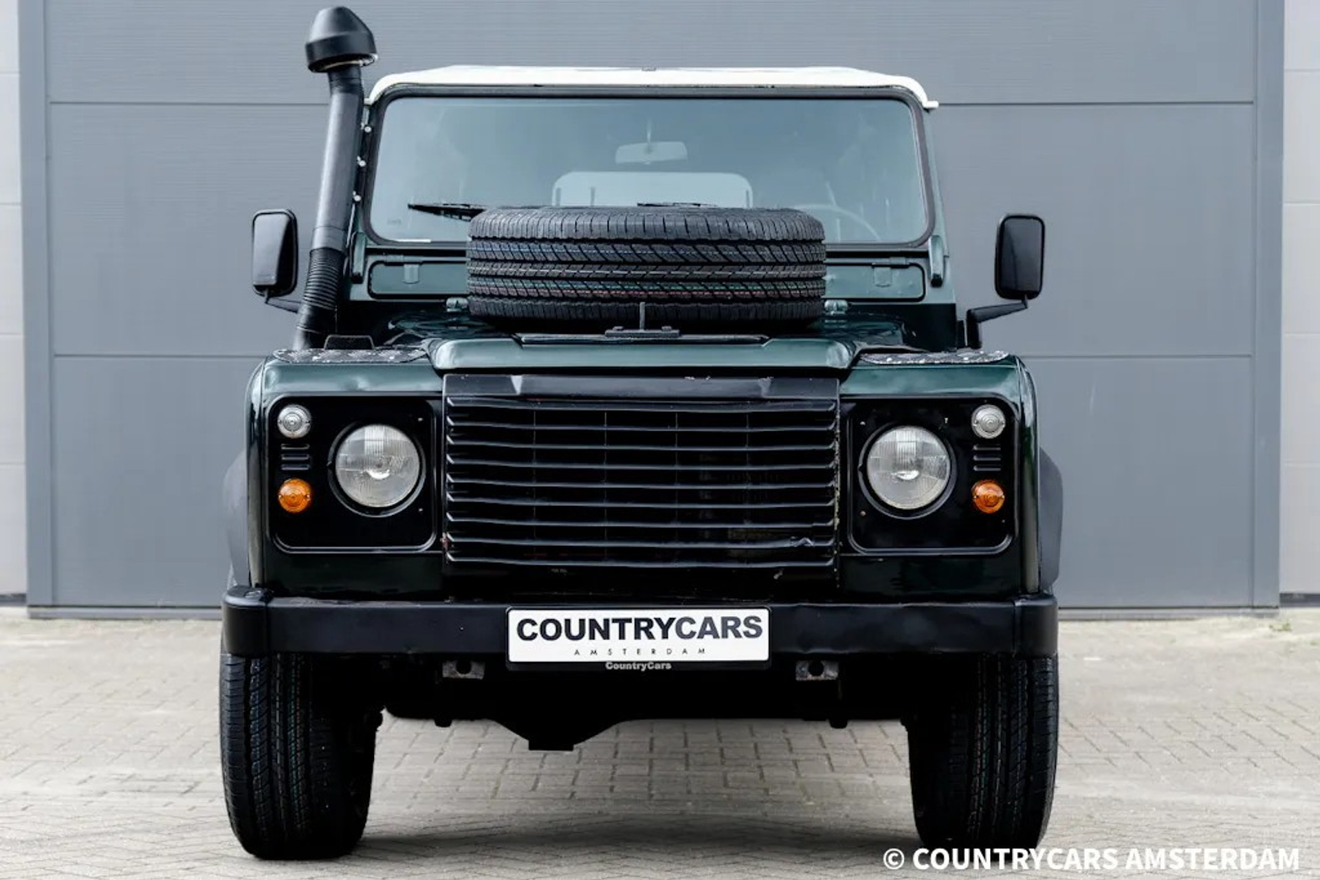 41485200-4.jpg